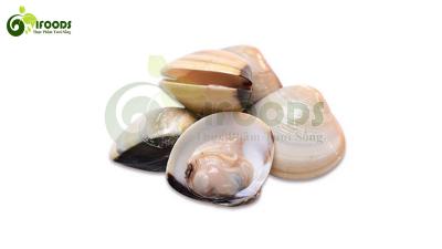 Nghêu biển sống từ thiên nhiên Size 30-40 con/kg